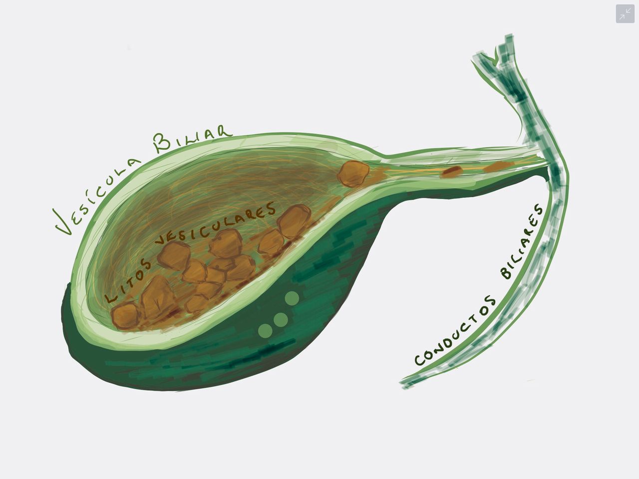 Mateo Ponciano Guerrero-36