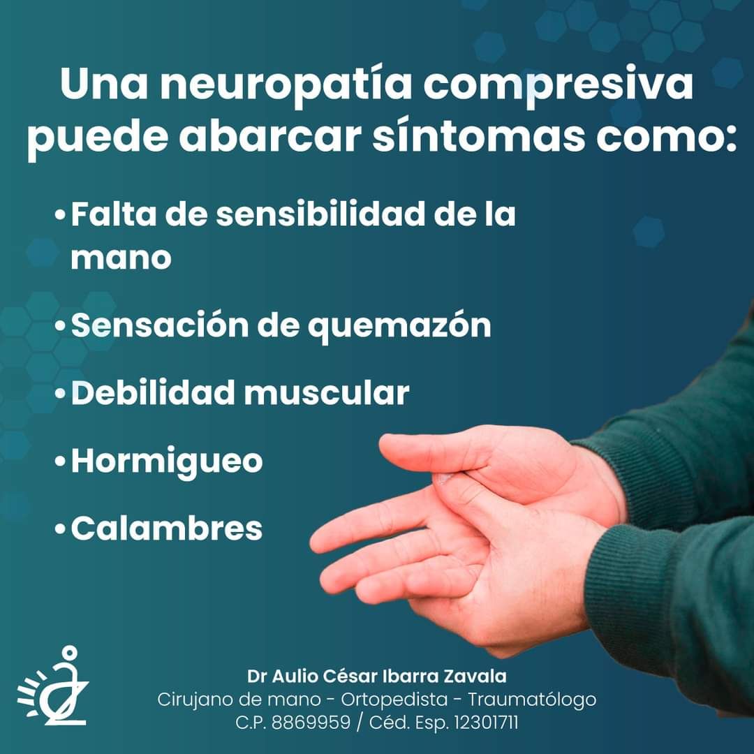 Aulio Cesar Ibarra Zavala-8