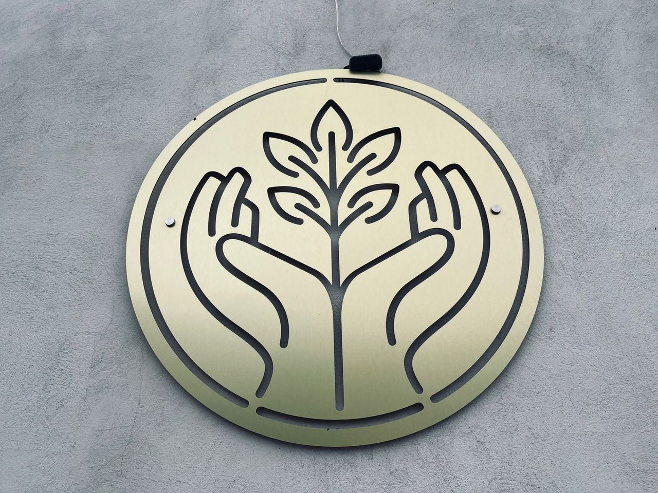 Jogens Alejandro Gonzalez Hernandez-6