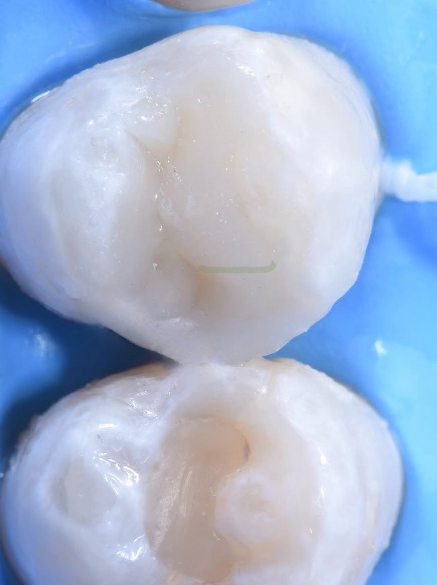 Claudia Stefanie Esquivel Lopez-1