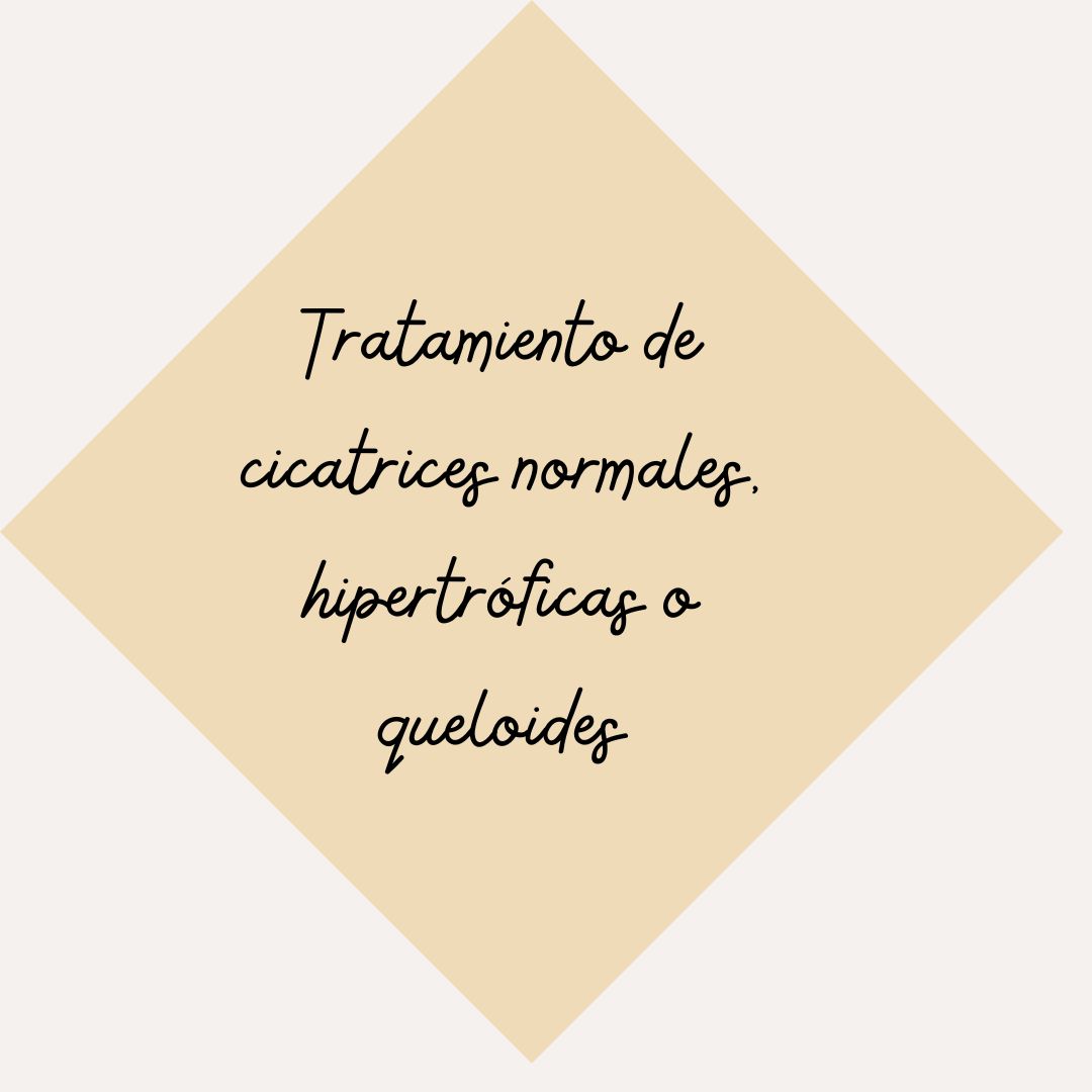 Priscilla Lizeth Cruz Hernández-10