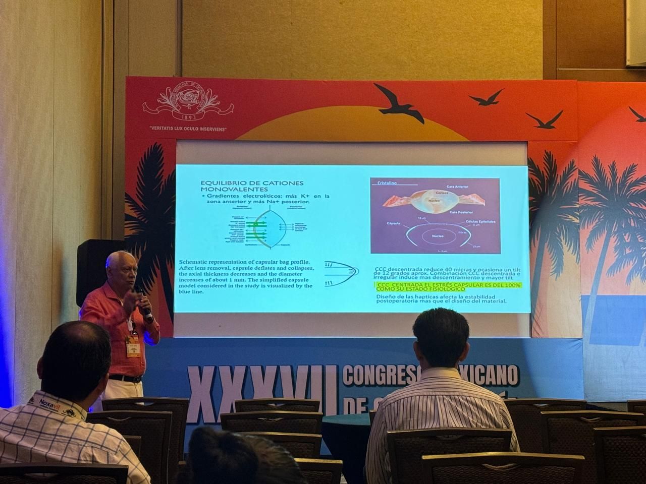 Miguel Angel Ibañez Hernandez-15