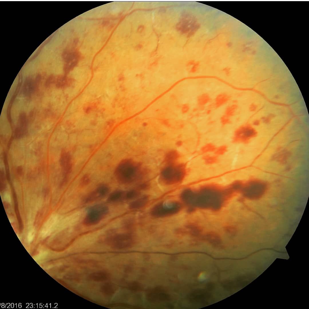 Dalia Méndez Marín-11