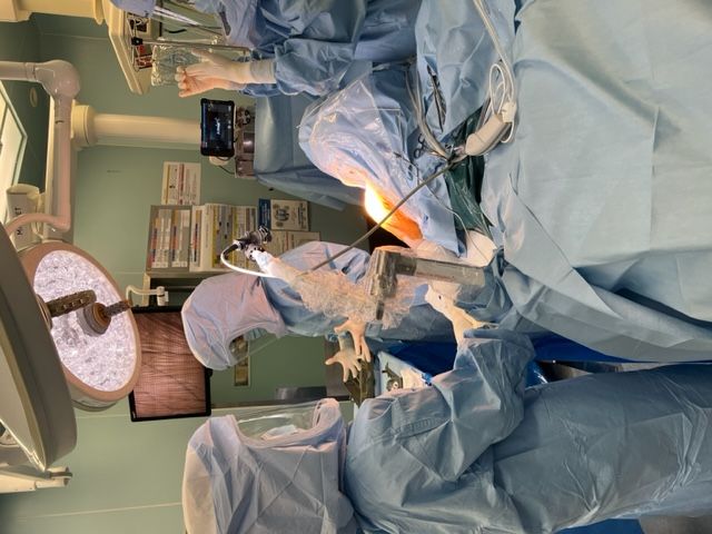 José Danao Márquez Robles-21