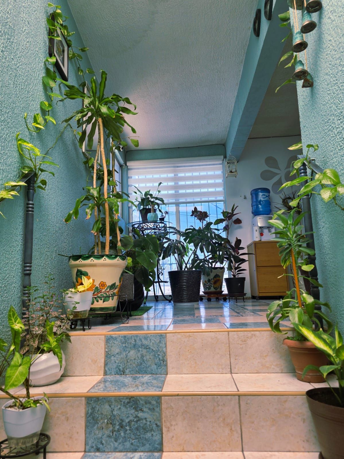 Paulina Mendoza Moreno-8