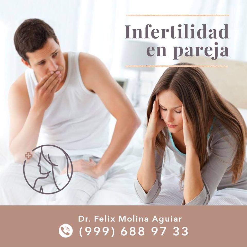 Félix José Molina Aguiar-14