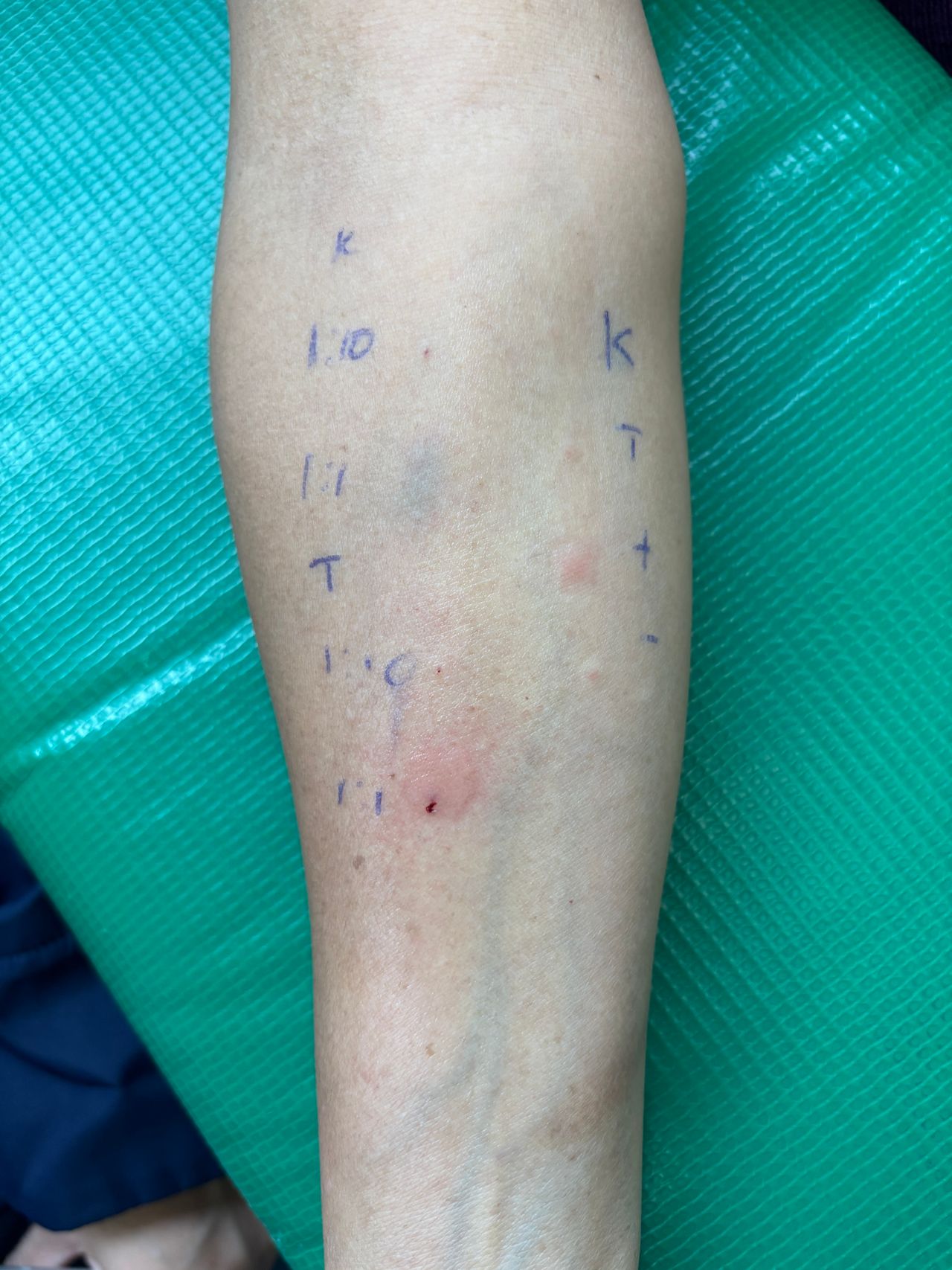 Miguel Teran Olvera-3