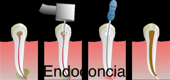Wendy Sánchez P.-15
