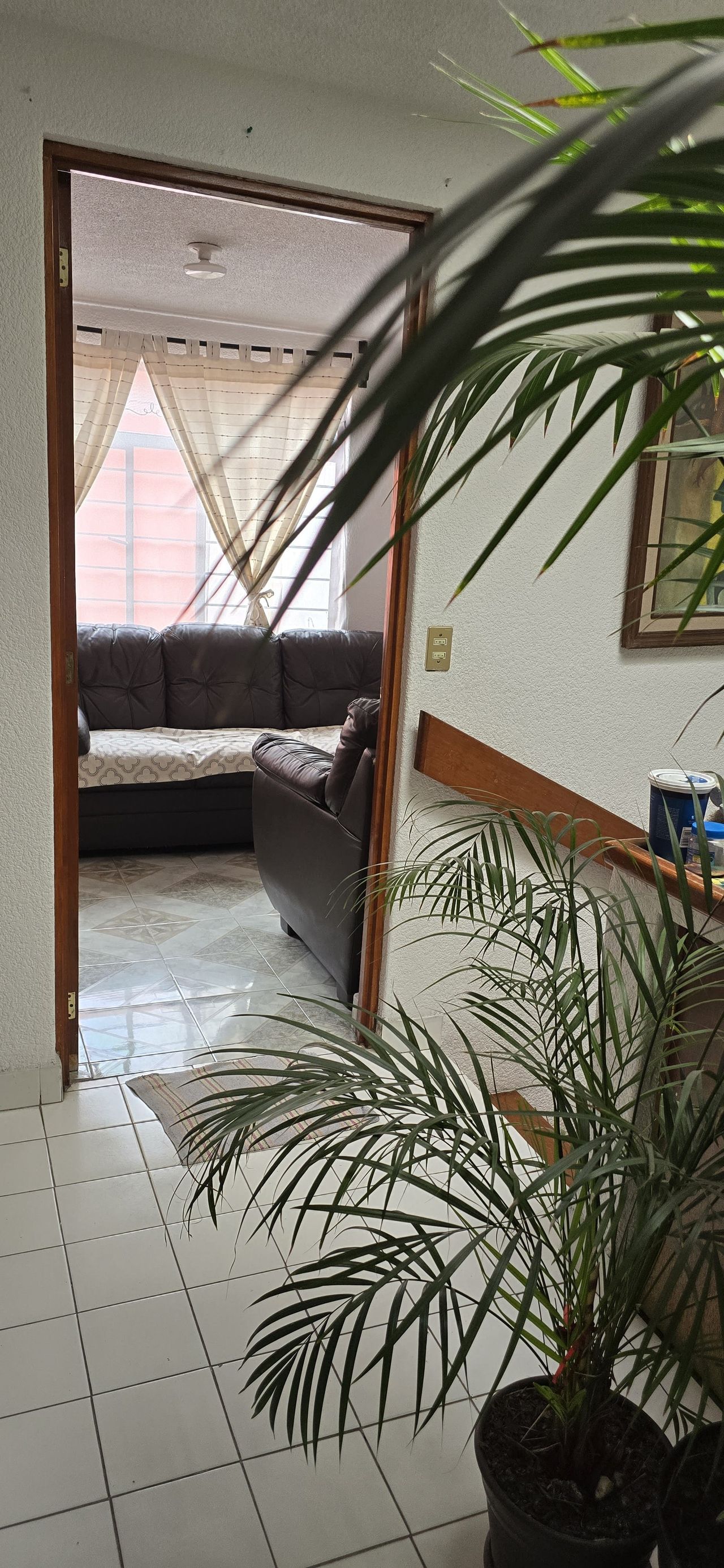 Atanasia Celestina Cruz Ramírez-4