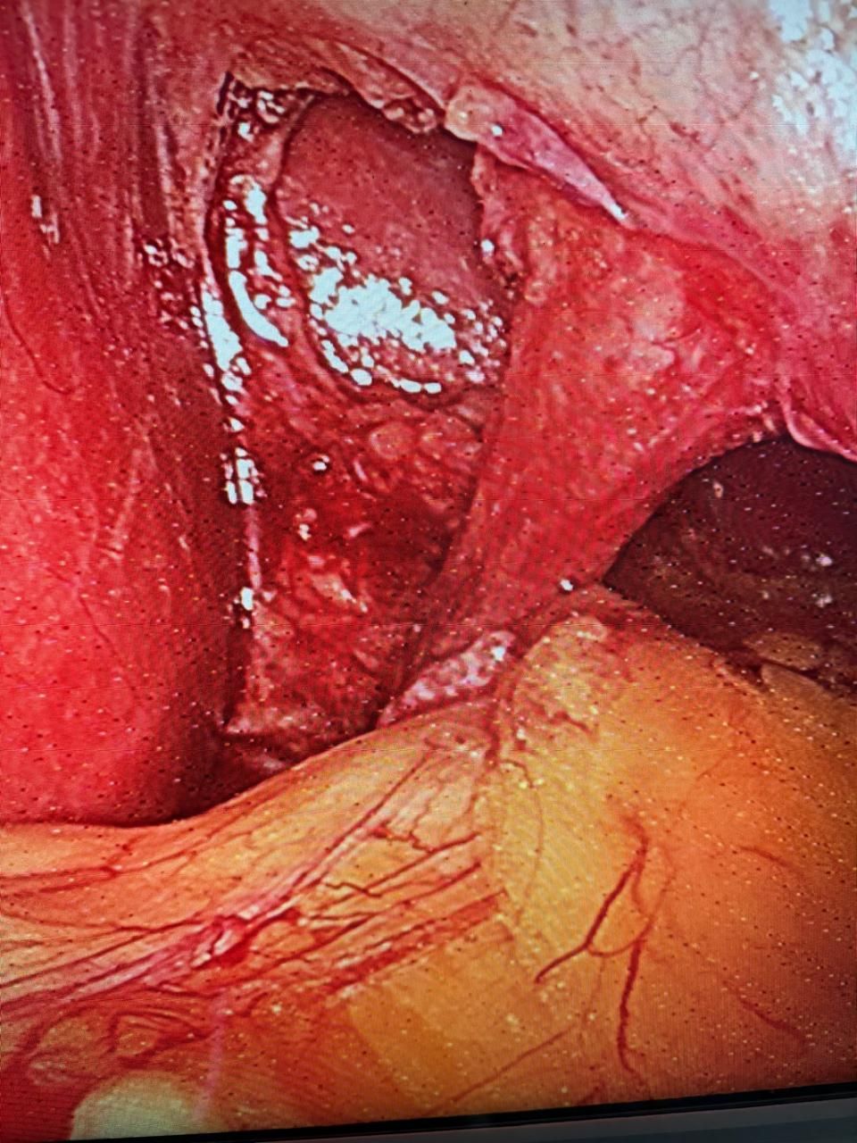 Horacio Paniagua Hernández-20