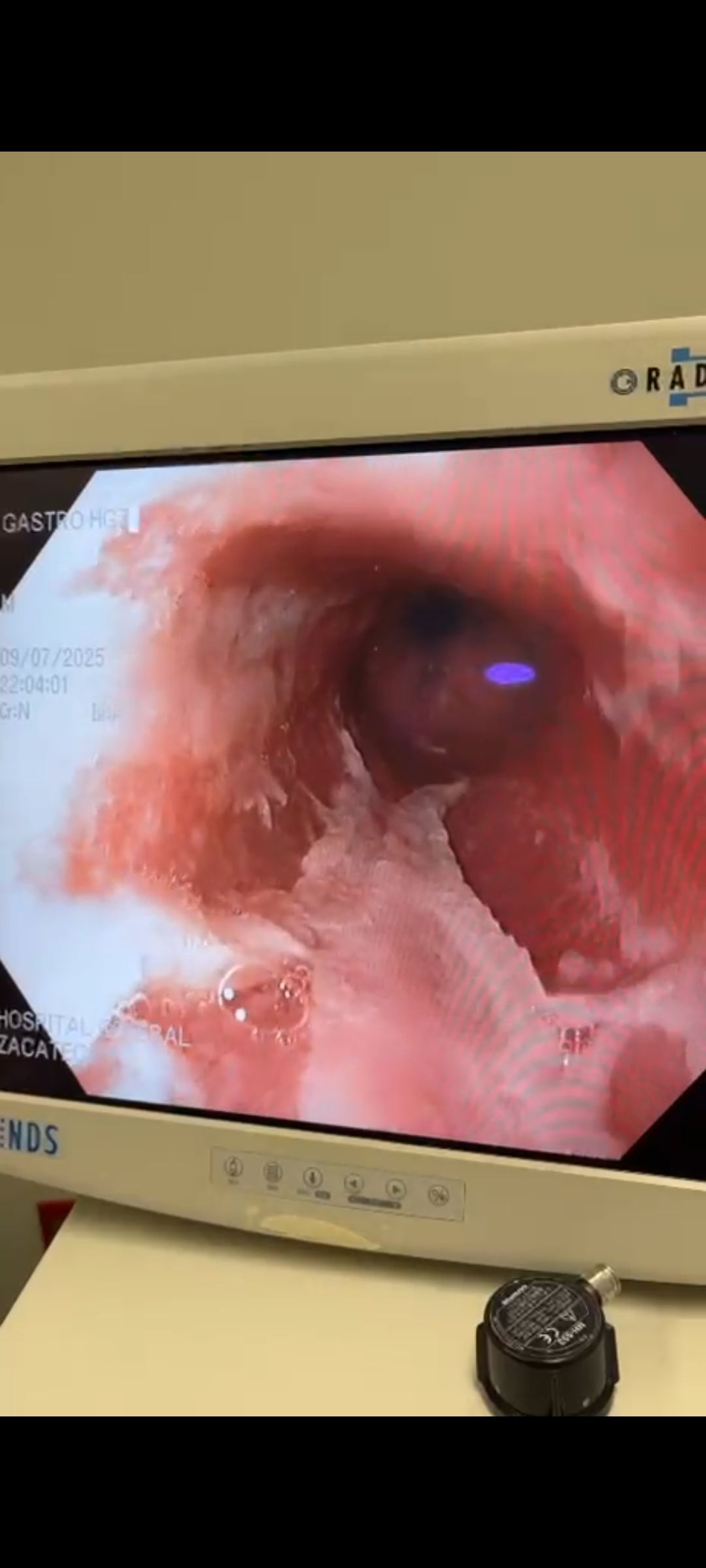 Luis Octavio Flores Romo-11