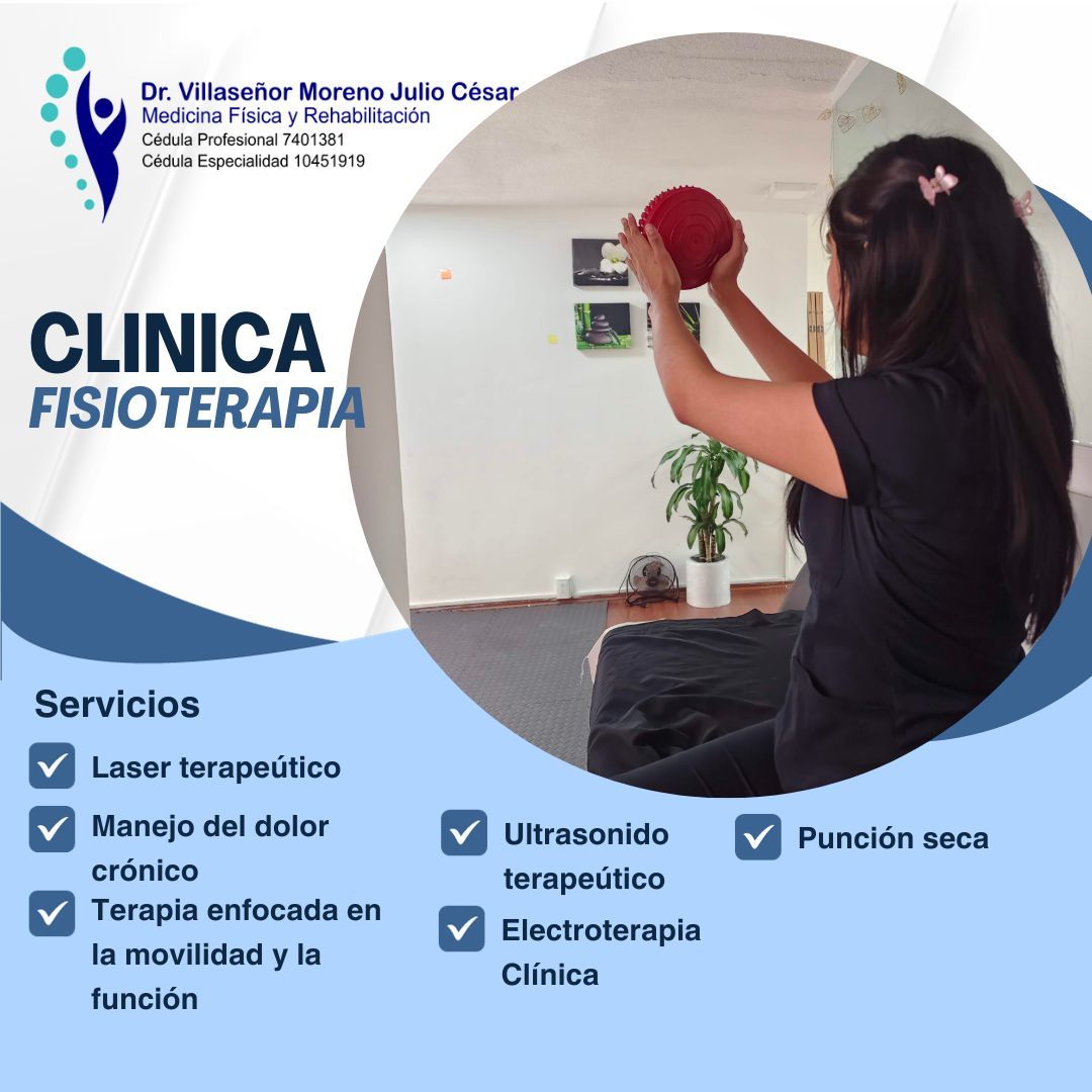 Julio César Villaseñor Moreno-4