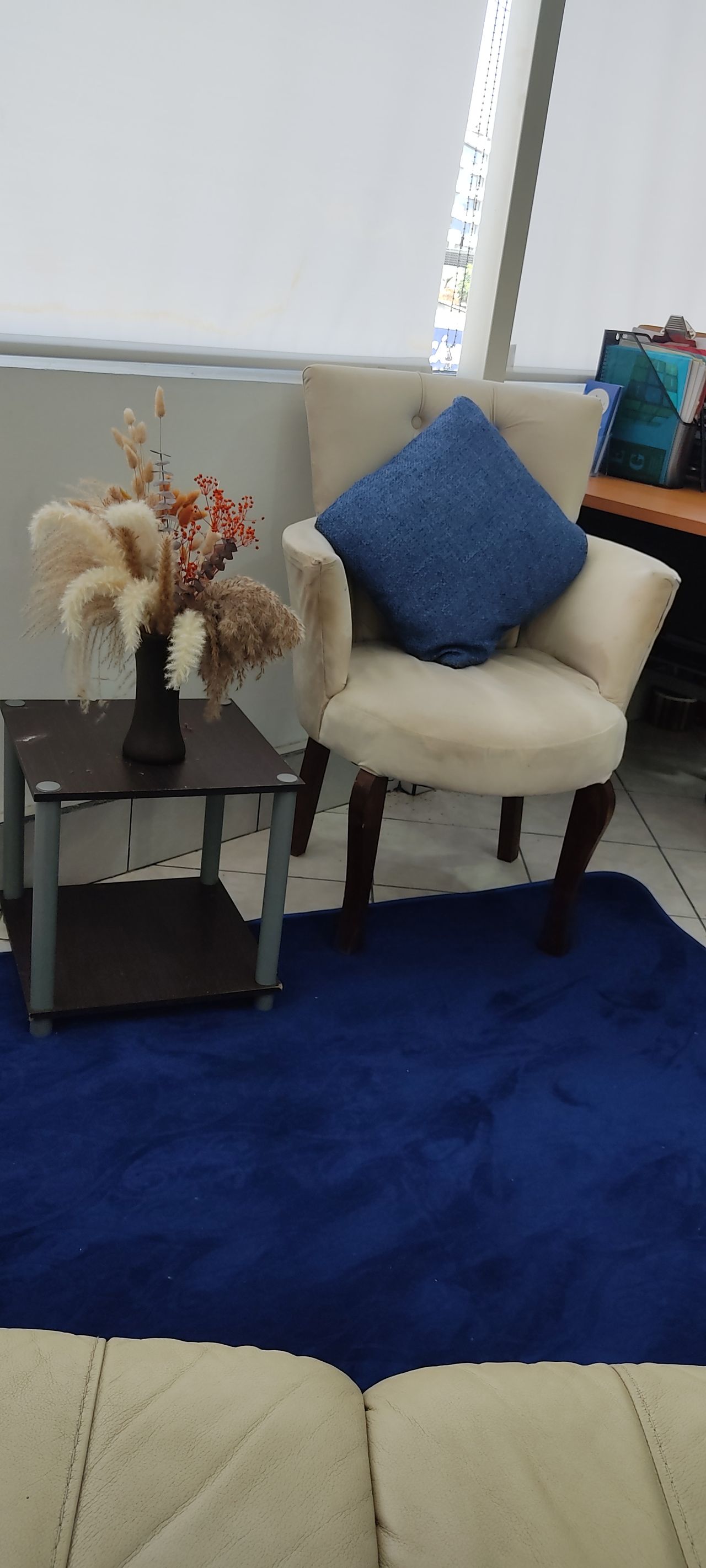 María Eugenia Guerrero Brito-1