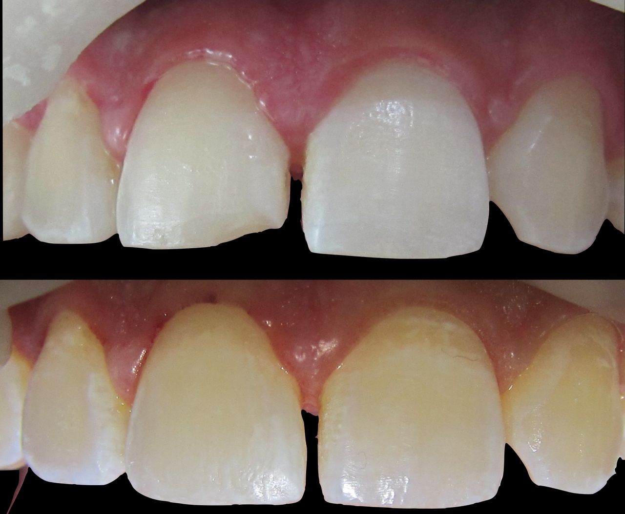 María Fernanda González Gastelum-64