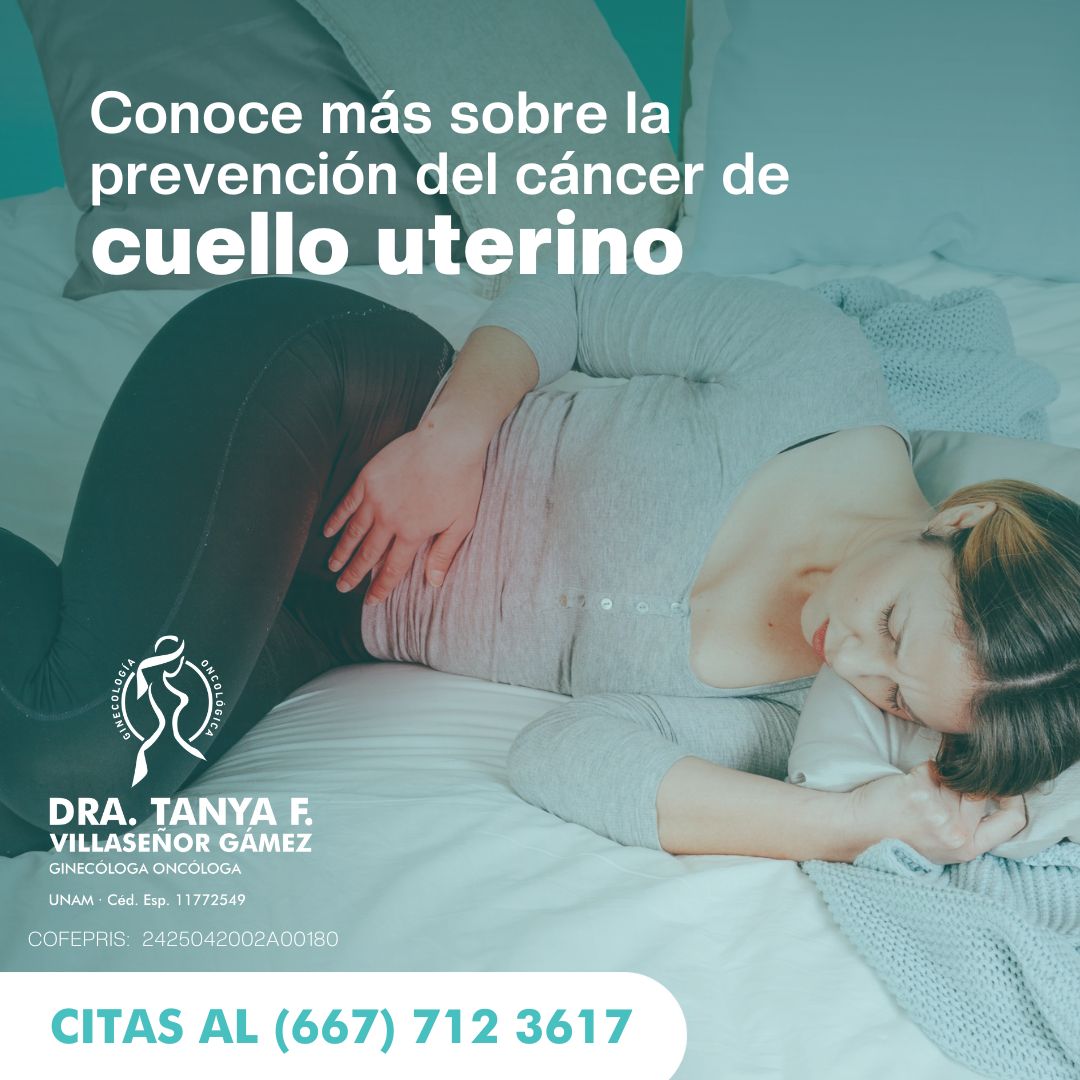 Tanya Fabiola Villaseñor Gámez-8