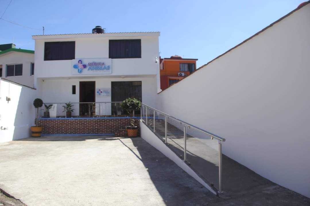 Verónica Alanís Moreno-2