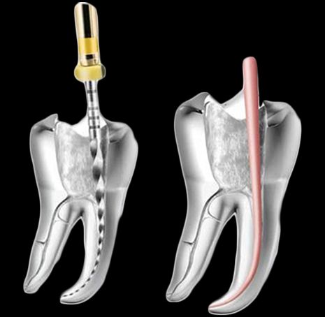 Ana Isabel Valadés Rabasa-1