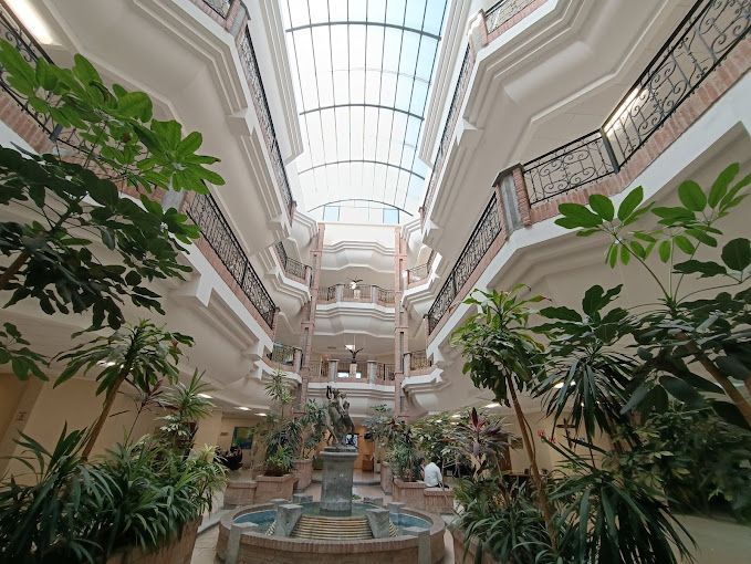 Francisco Macías Morfín-2