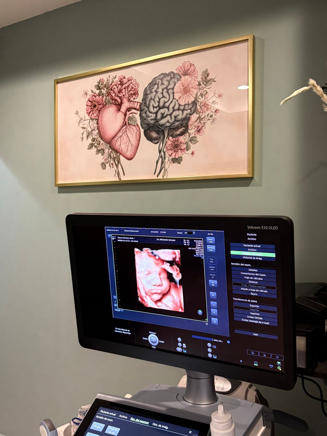 Fernando Roldan Arce-13