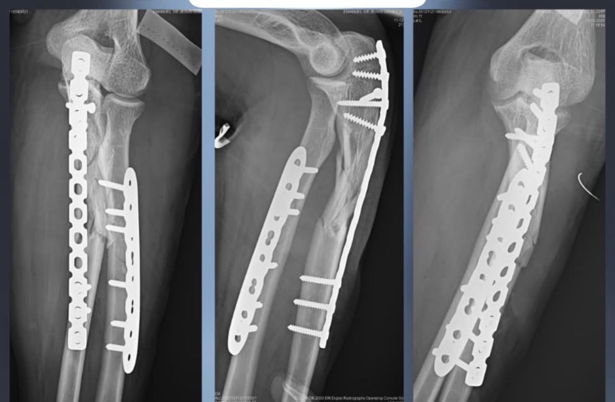 Amando Ramirez Zavala-6