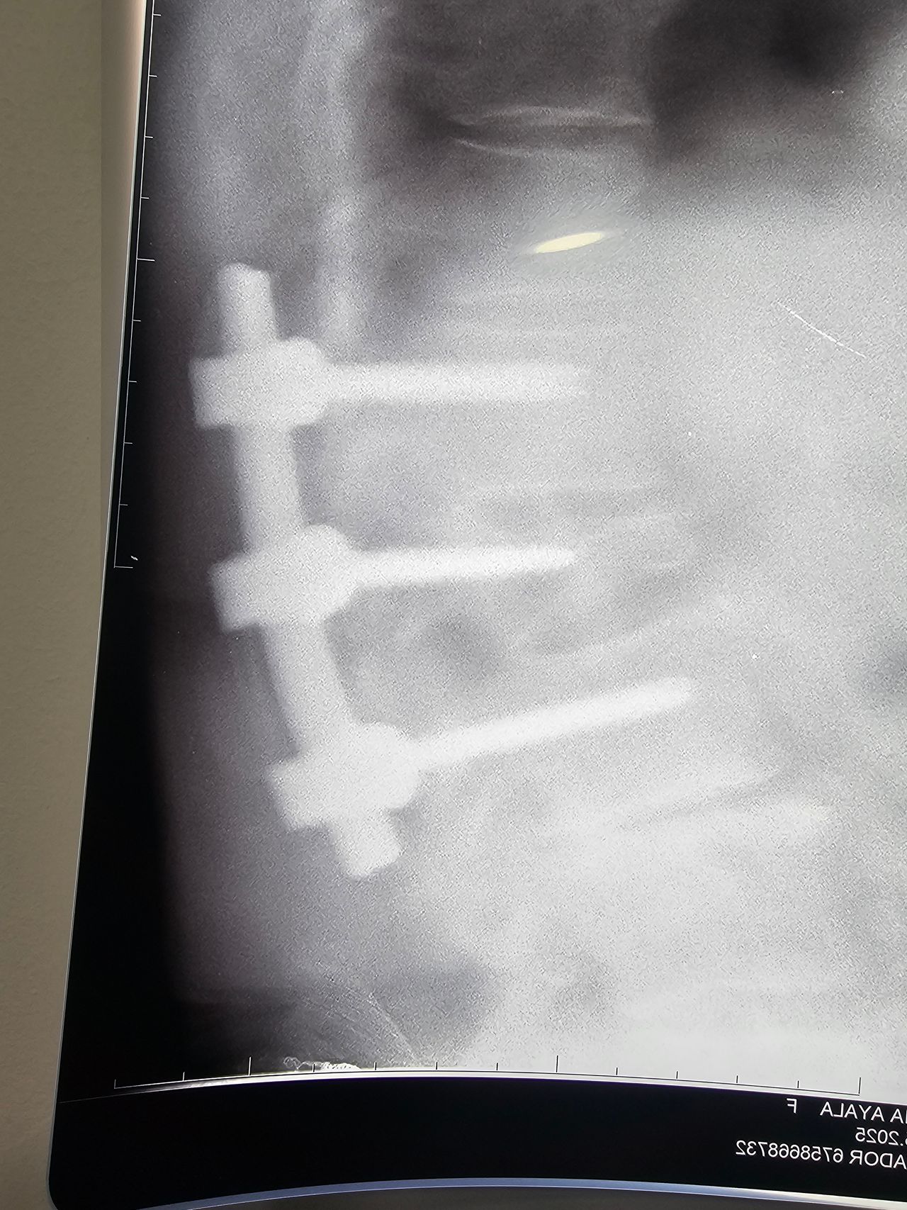 Jaime Galvan Alaniz-27