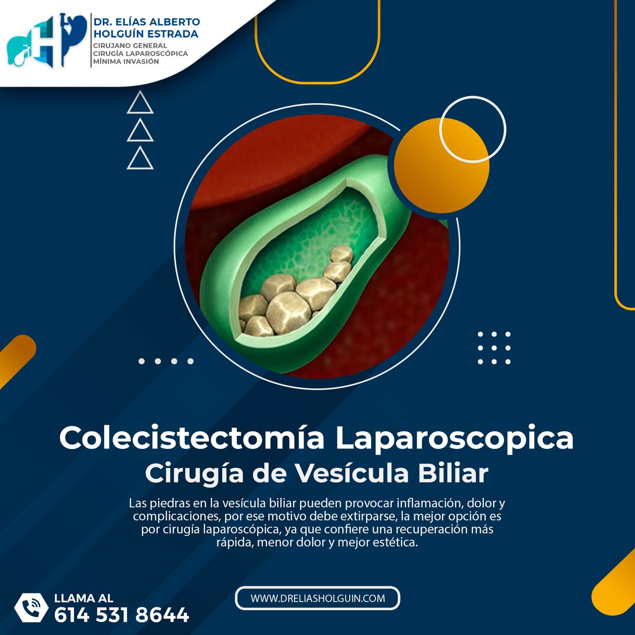 Elias Alberto Holguin Estrada-10