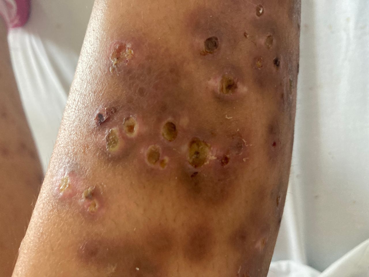 Sandra Guadalupe Pulido Sánchez-6