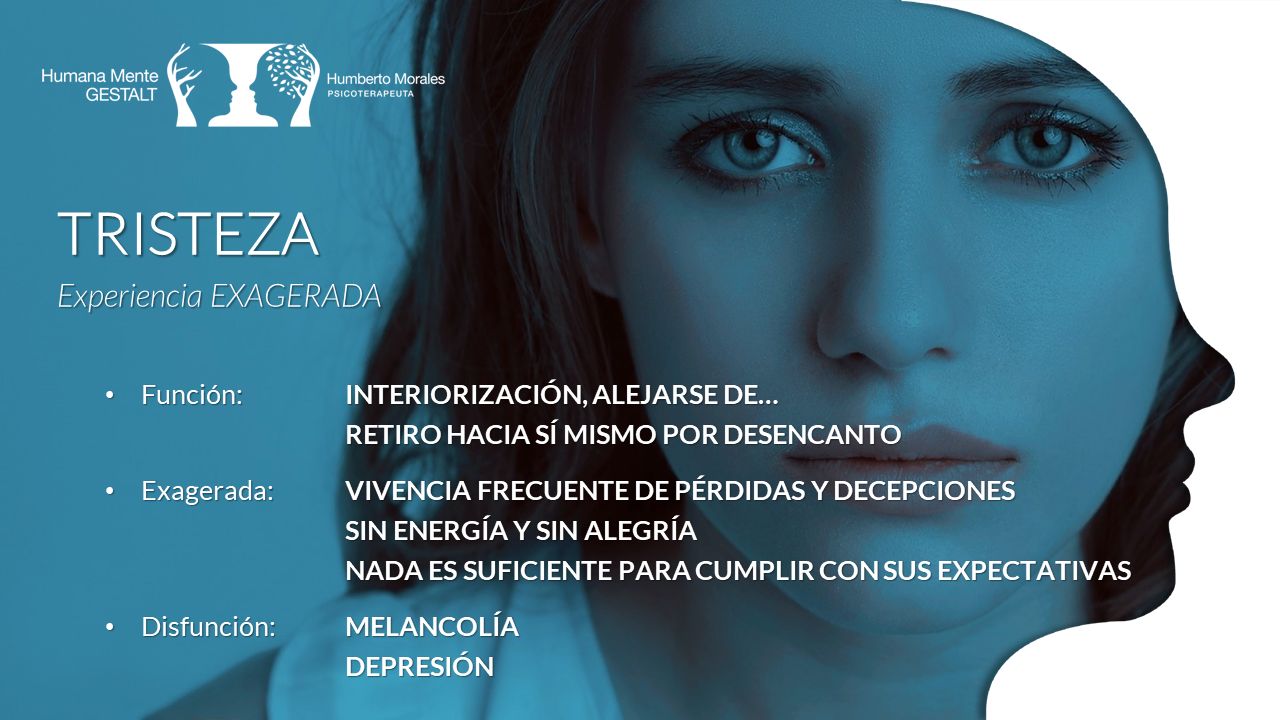 José Humberto Morales Galindo-18