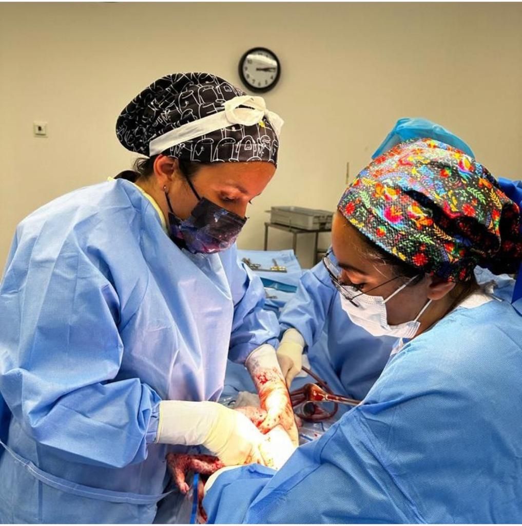 Diana Gabriela Ruales Silva-13