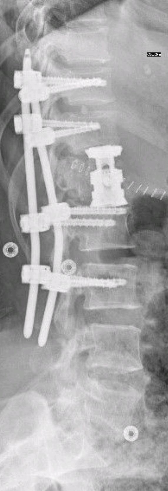 Dr. José David Cuenca Rivas-5