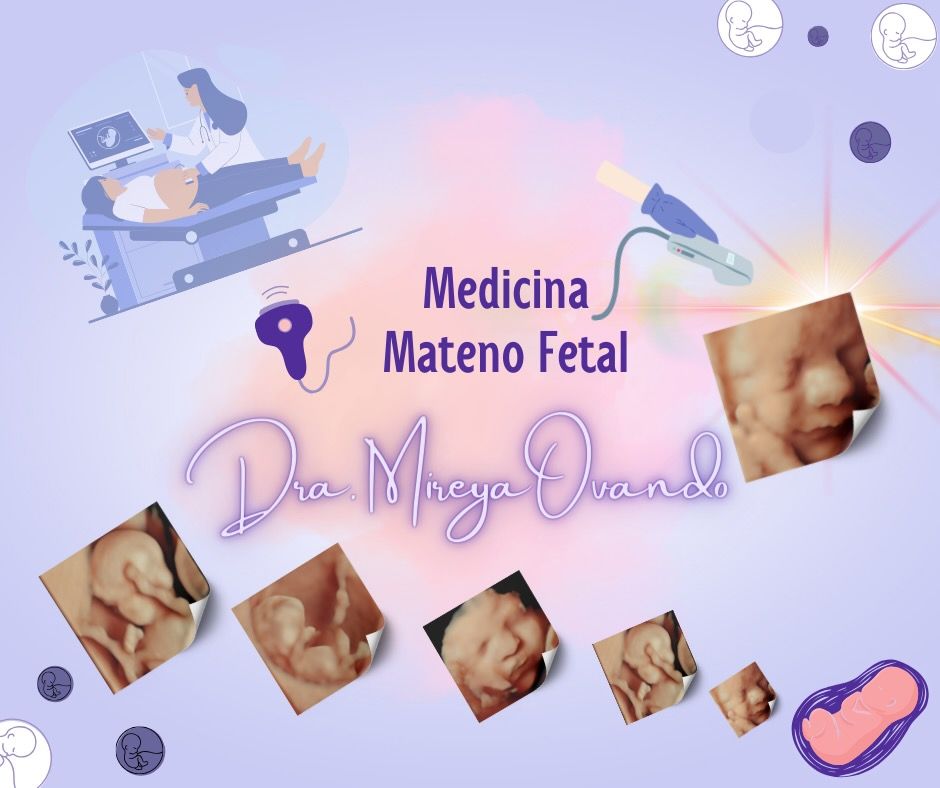 Mireya Ovando Tapia-10