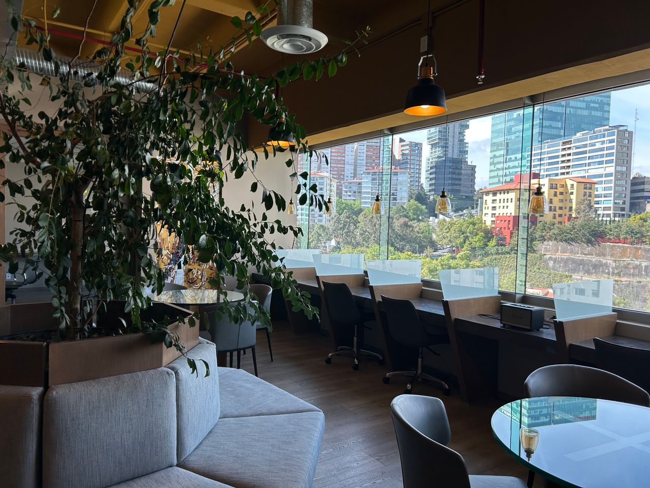 Raquel Pérez De León García-3