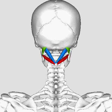 José Sayavedra Jaimes-21