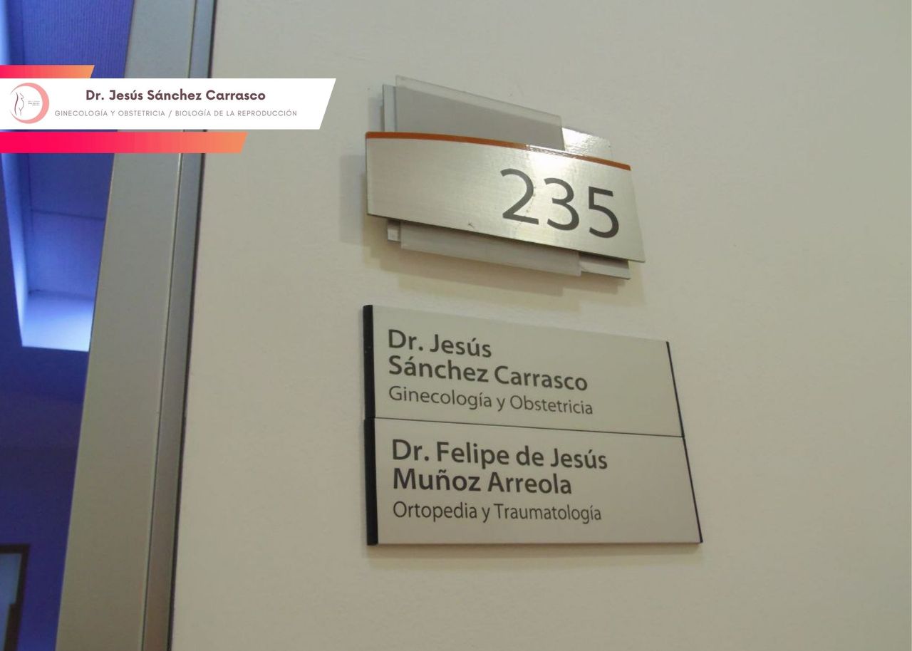 Jesús Sánchez Carrasco-9