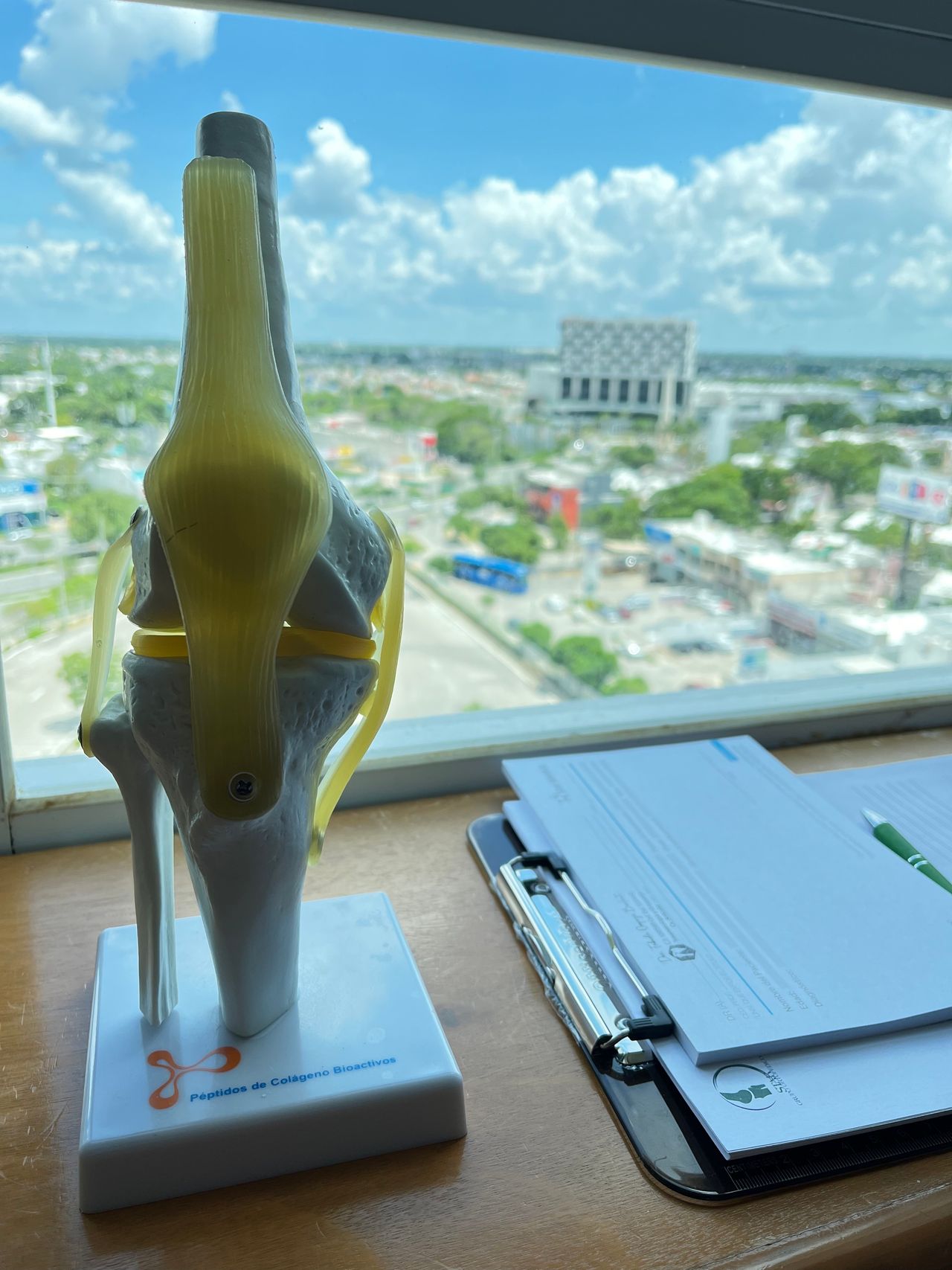 Fabiola Oropeza Bonfanti-1