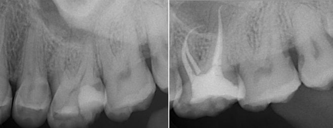 Adriana Sánchez Arreola-11