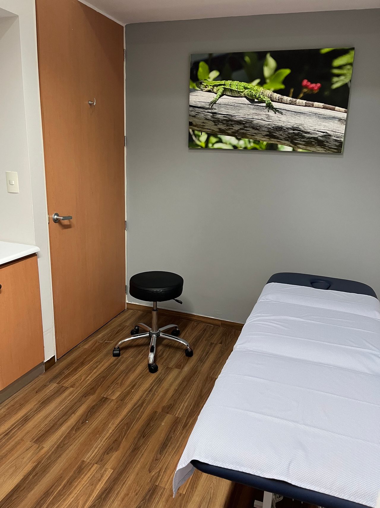 Fabiola Oropeza Bonfanti-2