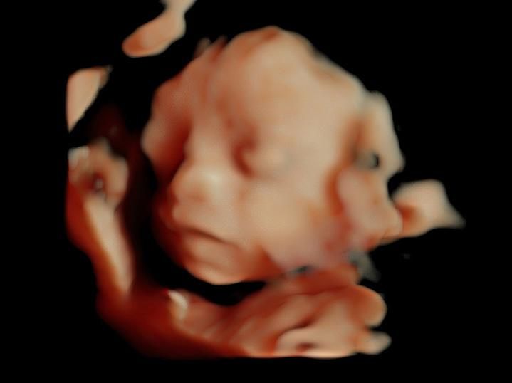 Sandra Faviola Dávila Molina-25