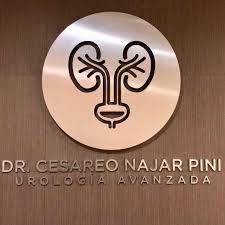 Cesáreo Najar Pini-9