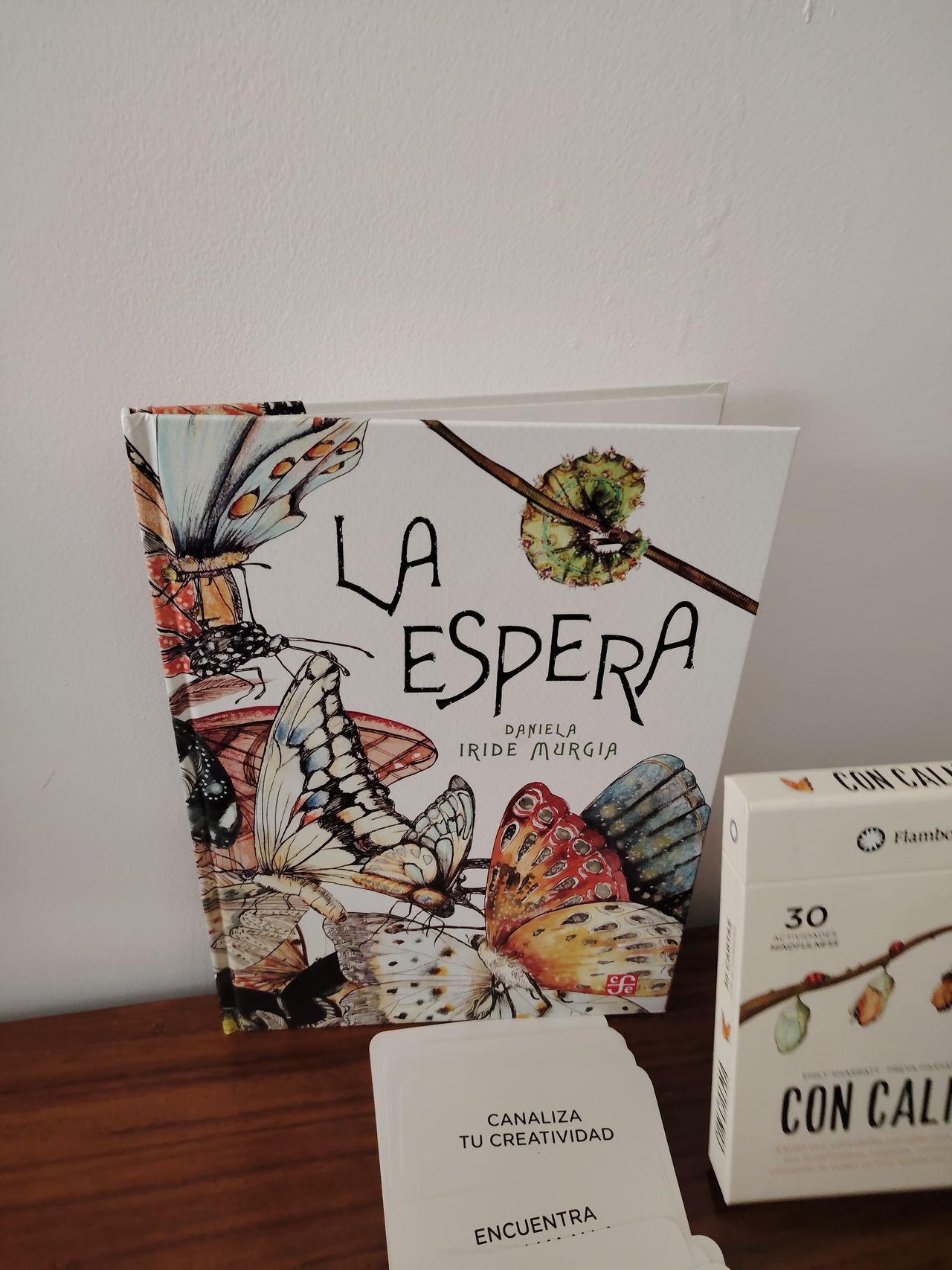 Elizabeth Lopez Gonzalez-19