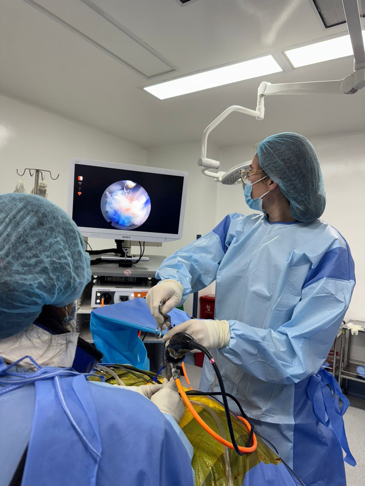 Fernanda Doraly Mora Saldaña-2