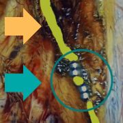 Gerardo Rea Mendoza-18