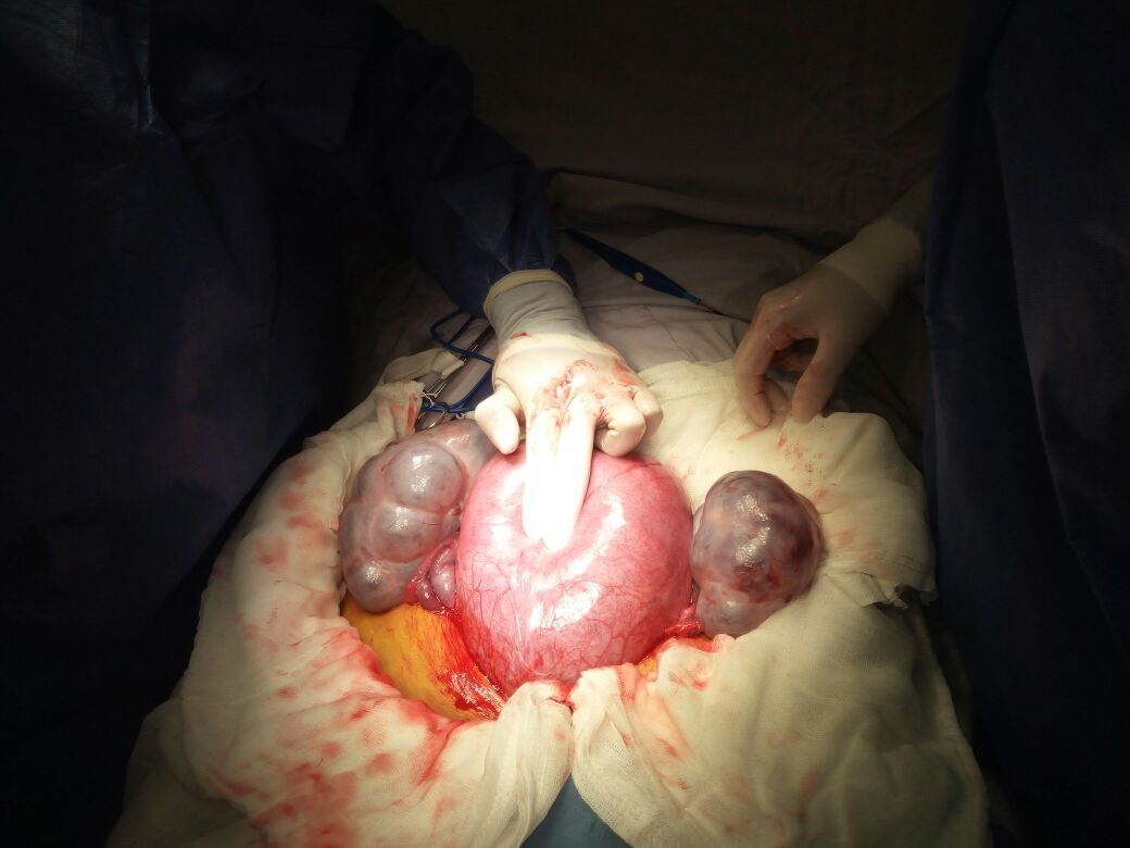 Marisol I. Alvarez Carrasco-50