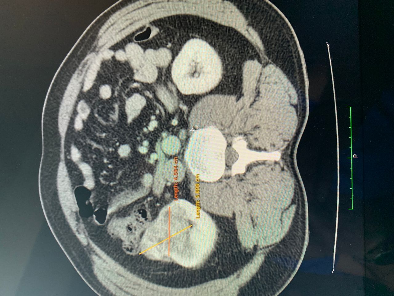 Enrique Hans Mues Guizar-3