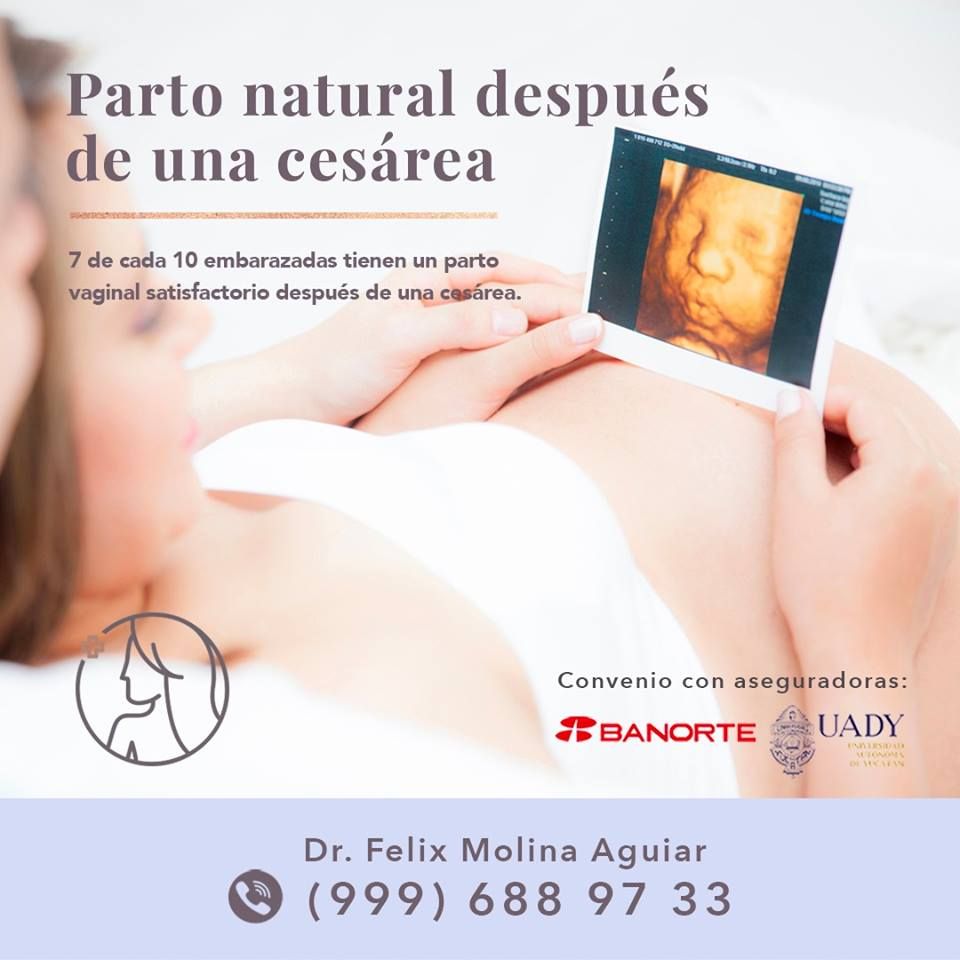 Félix José Molina Aguiar-22