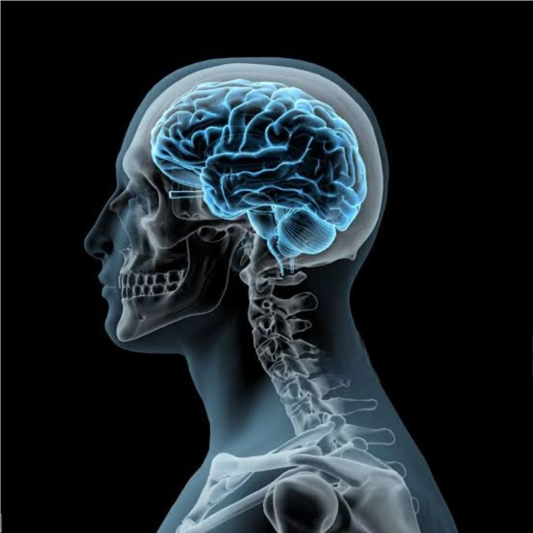 José Sayavedra Jaimes-56