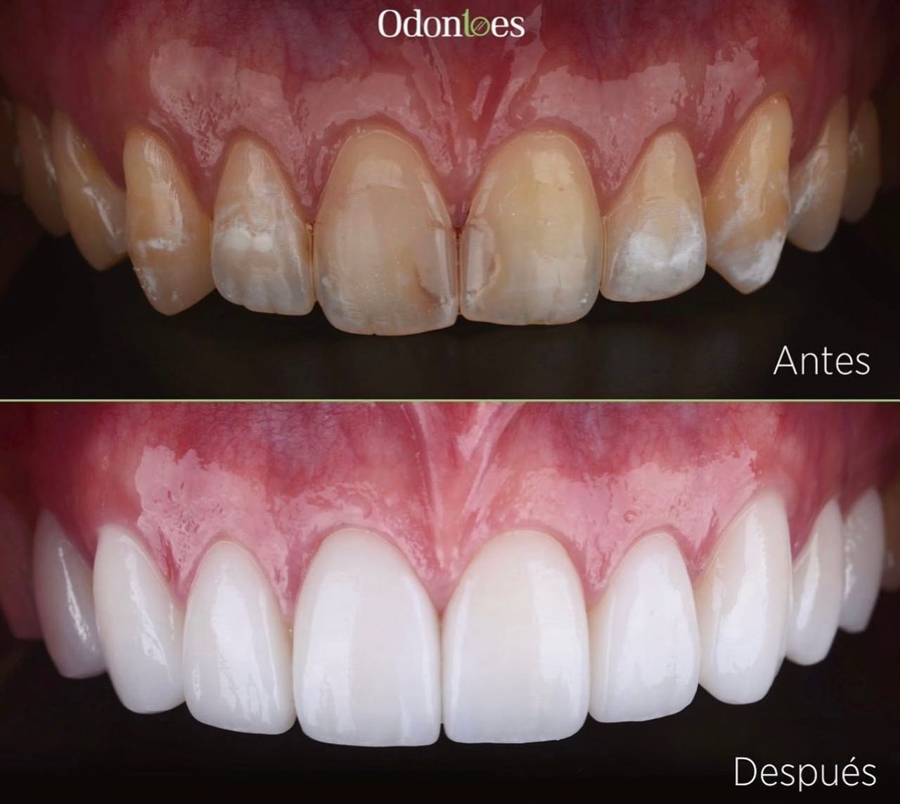 Raúl Euán Salazar-14