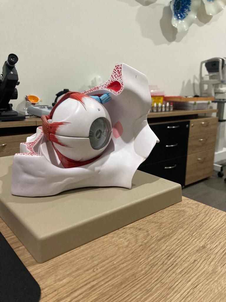 Gisela García Sánchez-3