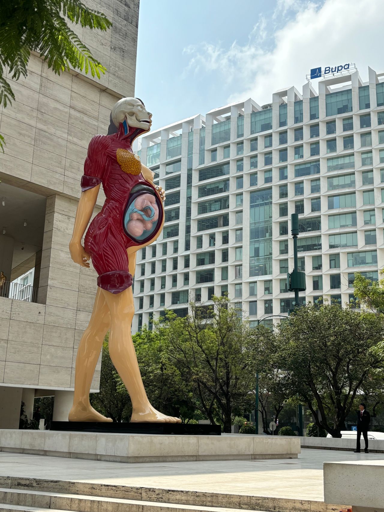 Paola Paulina Fuentes Cuevas-4