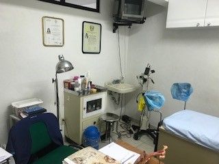 Luz Elena Amezcua Llauger-0